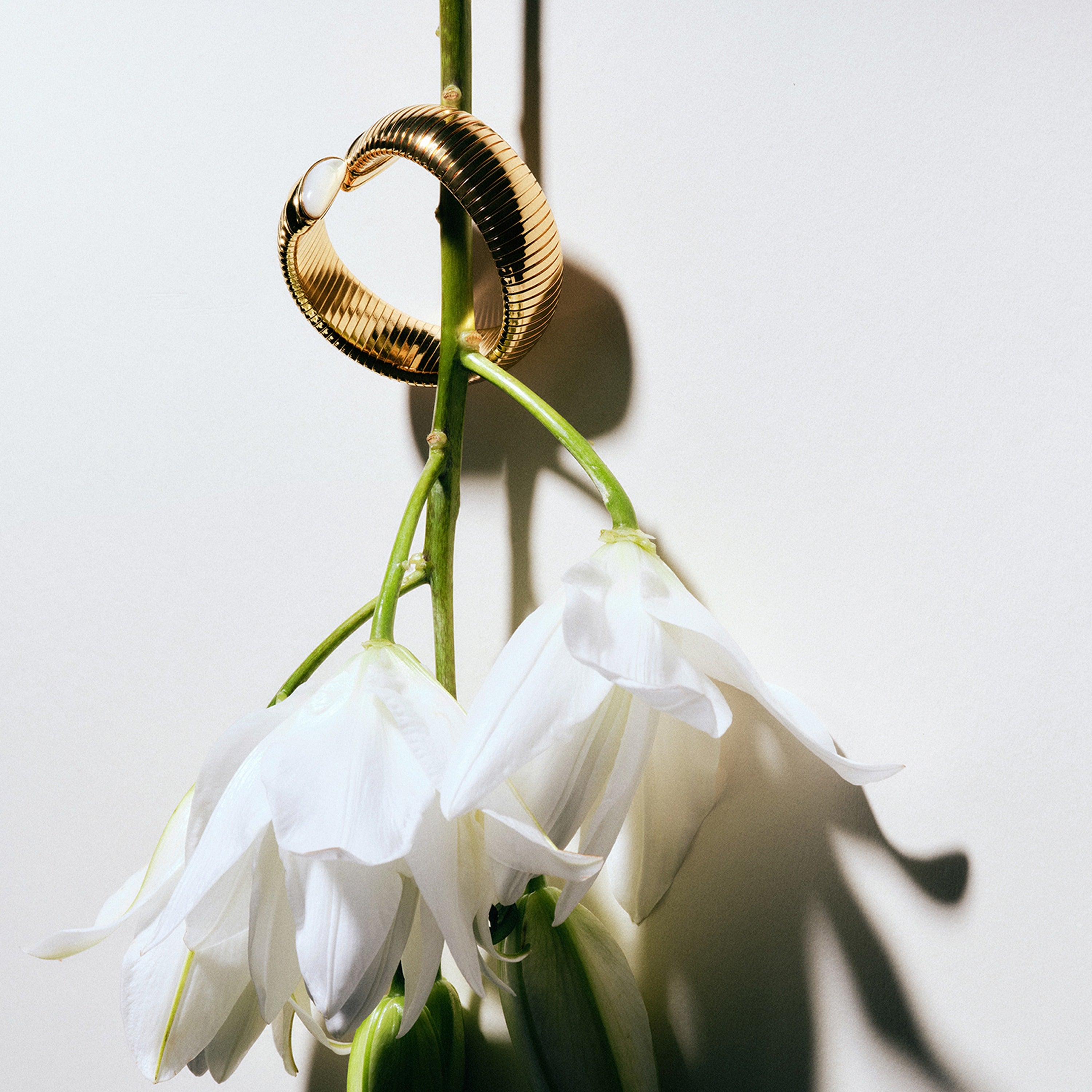 gas-bijoux-bracelet-antigone-dor-nacre-blanche image 3