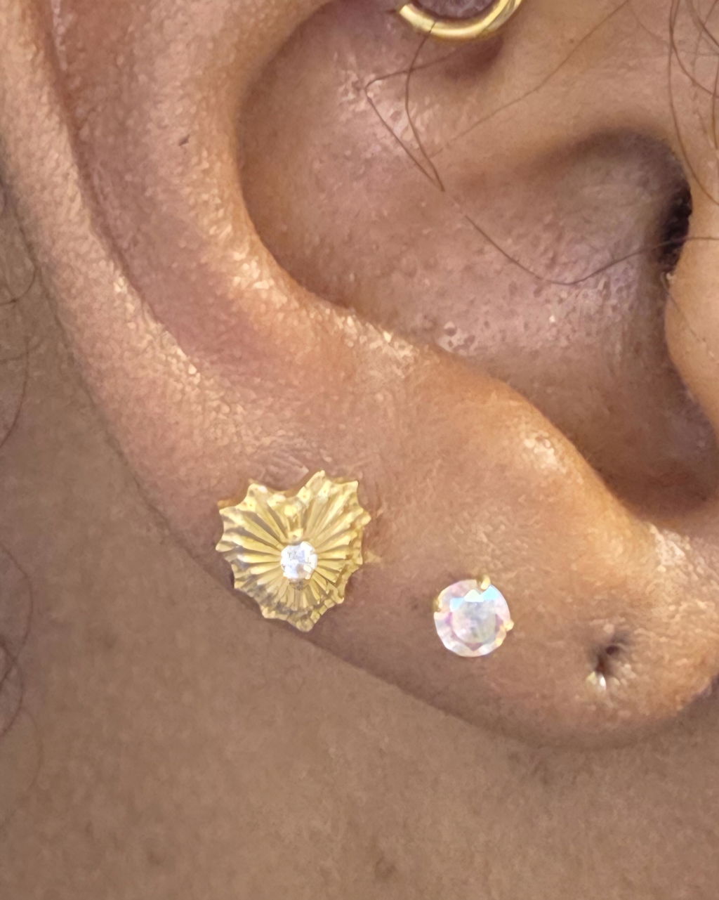 Sublime en conch