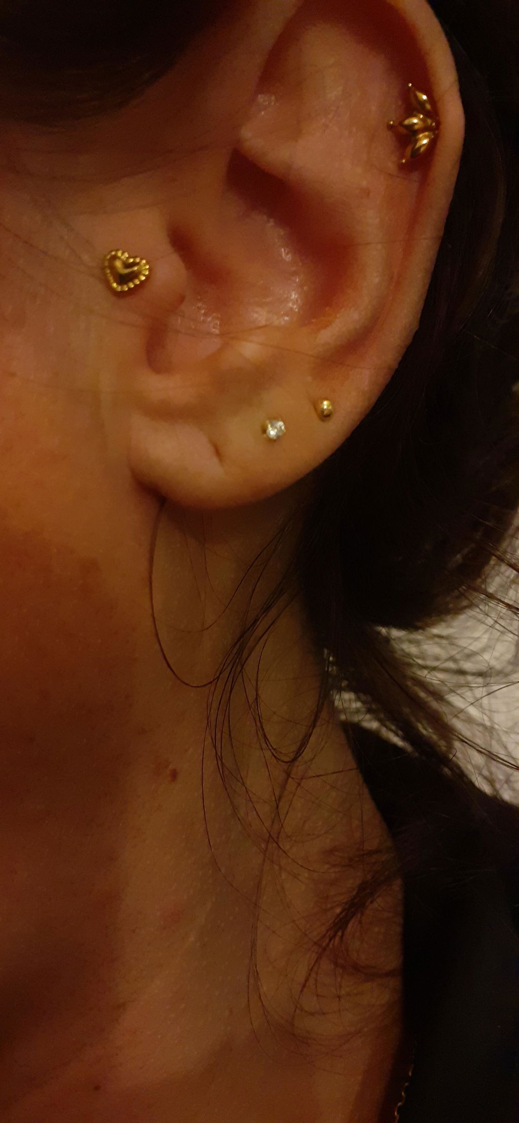 Superbe au tragus