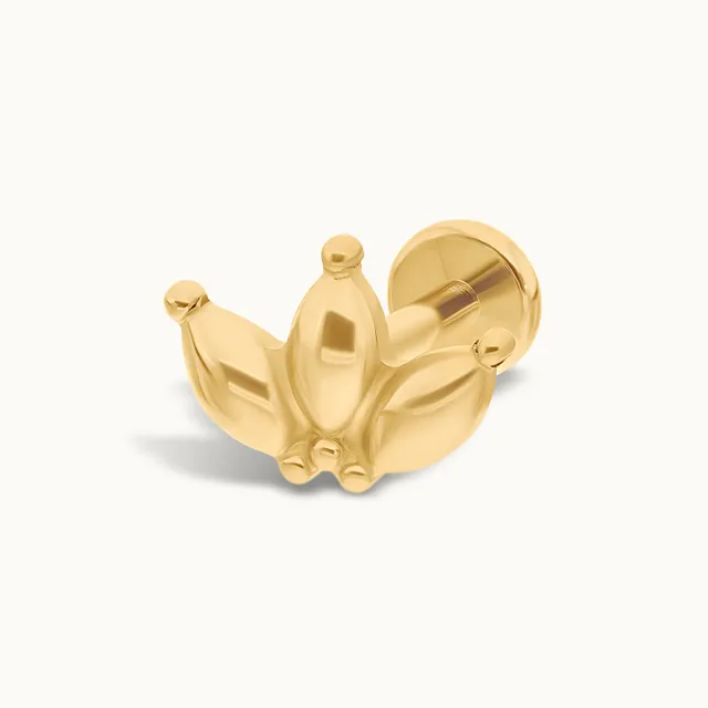 obsidian-piercing-colette-embout-titane-pvd-gold-sculpt-vissage-interne-conch-h- image 1