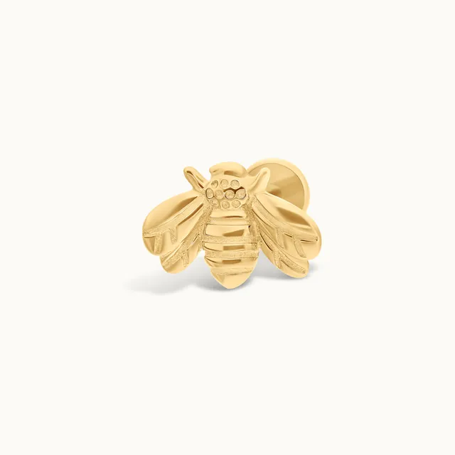 obsidian-piercing-maya-piercing-or-massif-14-carats-papillon-h-lix-conch-base-ti image 1