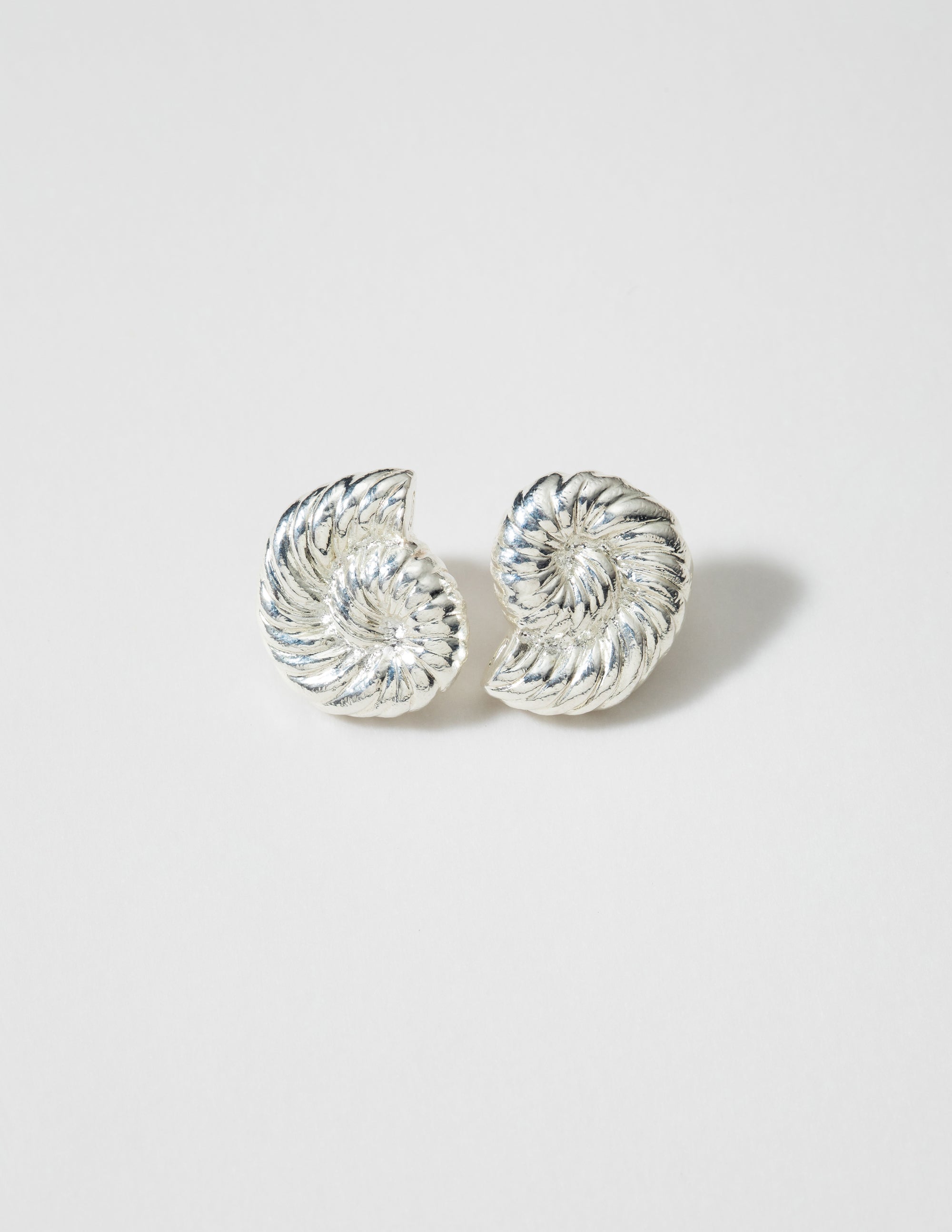 louise-damas-boucles-l-ammonite-boucles-sculpt-es-en-spirale-fossile image 1
