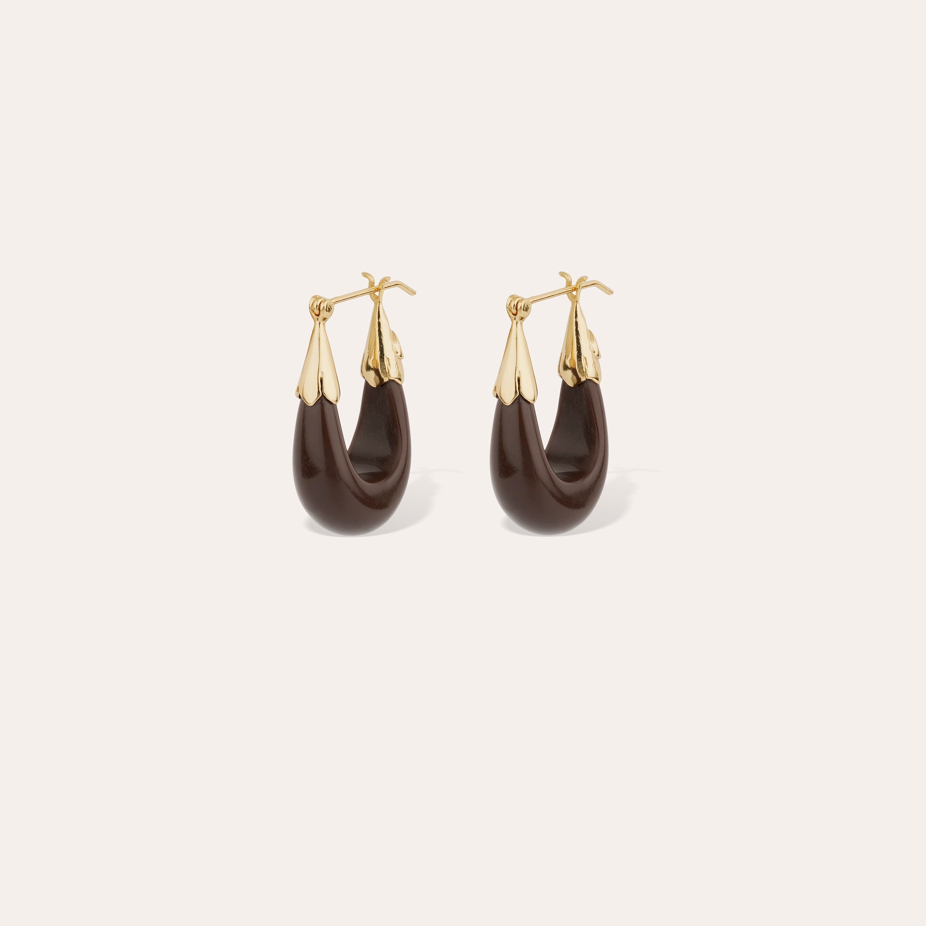 gas-bijoux-boucles-d-oreilles-cume-petit-mod-le-ac-tate-marron-dor-es-l-or-fin image 1