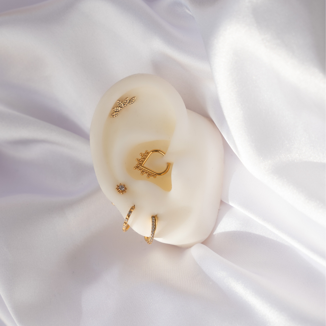obsidian-piercing-arietis-anneau-clicker-charni-re-titane-pvd-gold-pointe-perl-e image 3